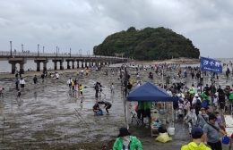 約1万人が潮干狩り GW期間中の蒲郡・竹島海岸
