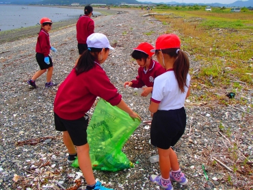 江比間海岸の清掃活動をする児童ら=田原市内で(泉小学校提供)