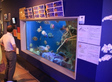 リニューアルする深海魚を展示する冷却水槽=蒲郡市竹島水族館で
