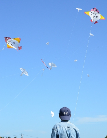 平和の白い鳥凧、うずら凧の試し揚げ=豊橋総合スポーツ公園で
