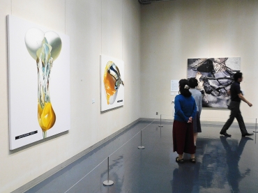 “そっくり”の魅力を紹介する展示会場=豊橋市美術博物館で