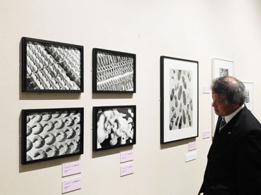 文化回顧㊤ヴォルフスブルグ交流展でのハイデルスベルガーの工業製品写真=豊橋市美術博物館で(今年2月)