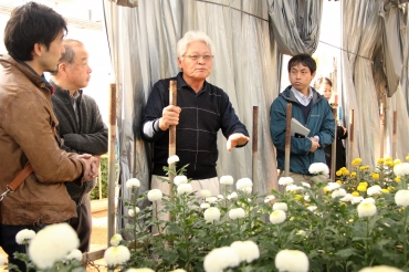 花店の店主らに栽培過程などを説明する大羽さん(中央)=田原市赤羽根地区で