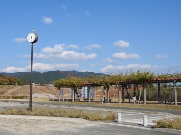 改修でソフトボール場などの整備が行われている豊川市スポーツ公園=豊川市千両町で