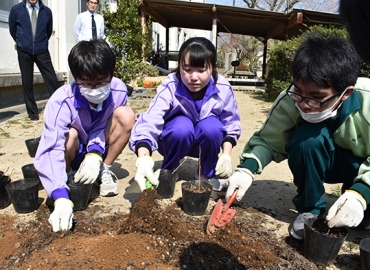 ポプラの挿し木を鉢に植え替える生徒ら=国府高校で