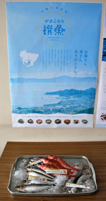 「がまごおり撰魚」のポスターイメージと成分分析が行われた魚介類(手前)