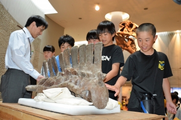 腰骨化石を慎重に触る児童ら=同市自然史博物館で