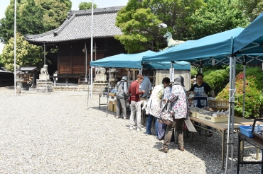 神社の境内で開かれた「ゆめや市」=広幡神社で