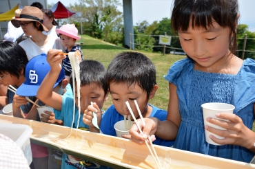 次々流れてくるそうめんをおいしそうに食べる子どもたち=田原市の蔵王山展望台で