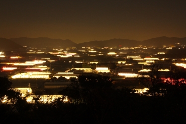 渥美半島で見られる電照菊の夜景=田原市内で(昨年撮影)