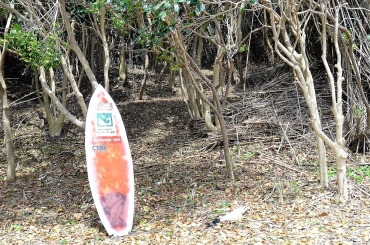 避難路の目印となるサーフボード=小松原海岸で