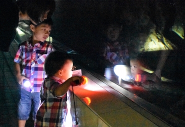 懐中電灯で水槽の中の魚を観察する子どもたち=同