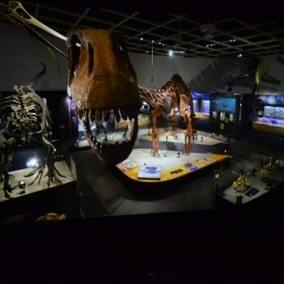 豊橋市自然史博物館の大型映像が3Dに
