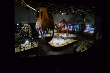 巨大スクリーンに映し出される迫力ある映像=豊橋市自然史博物館で