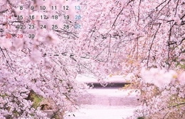 豊川市「とよジェニックカレンダー」作成