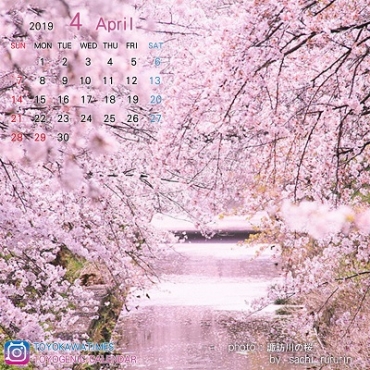 4月の写真を飾る「諏訪川の桜」