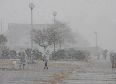 寒波が襲来。東三河も雪が舞った=蒲郡市の栄町で