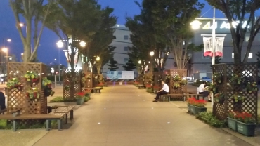 「がまごおり花フル会」が蒲郡駅前広場に設置したハンギングバスケットとプランター