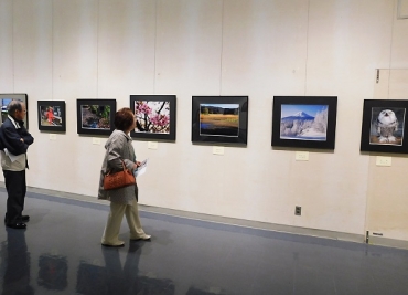 多彩な作品が楽しめる写真の部会場=豊橋市美術博物館で