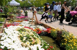 豊橋で「花交流フェア」開幕