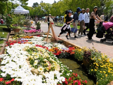 会場を彩る華やかな花壇=豊橋公園で