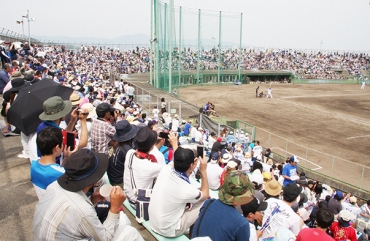 満員の観客で埋まったウエスタンリーグ中日-阪神戦=蒲郡球場で