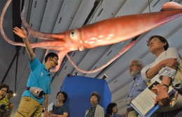 豊橋市自然史博物館で特別企画展「深海の玉手箱」