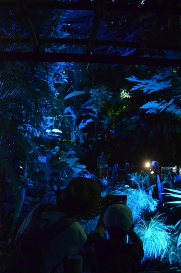 カラフルな光と音で演出された植物園温室。来園者に好評だ=豊橋総合動植物公園で