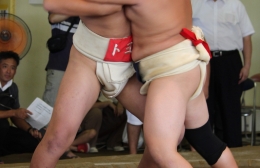 豊橋で西島杯小中学生相撲大会