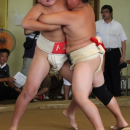 豊橋で西島杯小中学生相撲大会