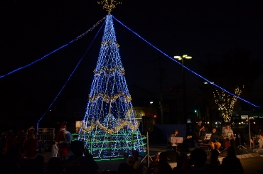 点灯したイルミネーションツリー=田原市の中央広場で