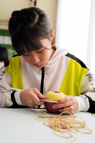 細心の注意を払いながらリンゴの皮をむく優李さん㊤=富士見小学校で