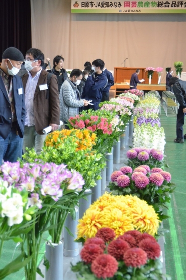 品評会に出品された切り花など=田原市総合体育館で