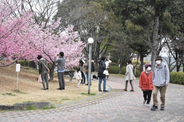 休日を公園で過ごす家族連れ。マスク姿の人が目立った=豊川市の赤塚山公園で