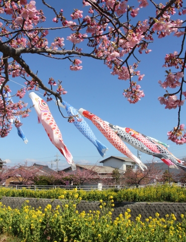 色彩豊かな春の景色=田原市福江地区で