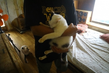 猫を抱き上げる飼い主の男性