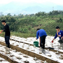 インドネシア人農業実習生 田原で育成支援が本格化