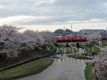 赤い電車が通過する拾石川