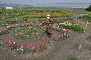 「春の花が咲いています。ぜひ来てね」と滝本さん=豊川市麻生田町の「ハートの園」で