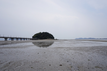 人の姿がなかった昨年4月の竹島海岸