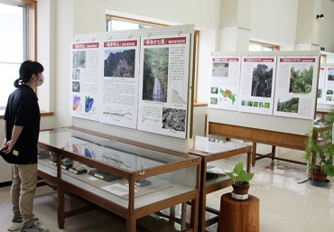 市内の天然記念物を紹介する特別展=いずれも新城市鳳来寺山自然科学博物館で