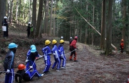 新城東陽小5年生が森林保全や獣害学ぶ