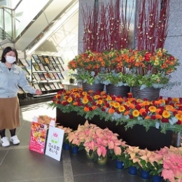 消費回復へ東三河で県産の花PR