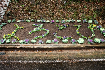 「よろこび」の文字をかたどった花壇=新城市海老須山で