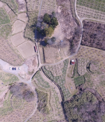 古墳群の航空写真。左側の乗用車下の樹木帯が口明塚南古墳(提供)