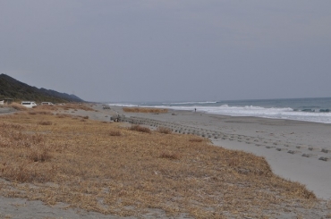 夏には大勢のサーファーが訪れる表浜海岸