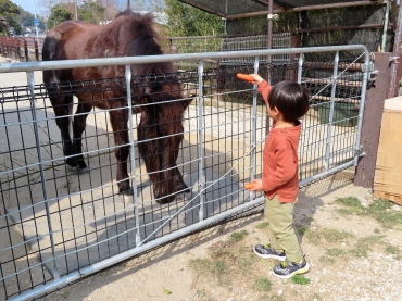 青木さんの牧場に遊びに来た男の子と馬でぃ=田原市野田町で