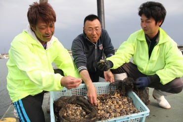 アサリの成長を観察する漁師たち=田原市の福江漁港で