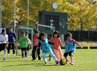 紅葉した樹木を背にボールを追う女の子たち=岩田運動公園で