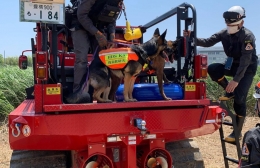 「捜索救助犬HDS-K9」 広がる支援の輪